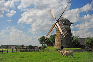 12. (Windmühle Todtenhausen) Großenheider Königsmühle